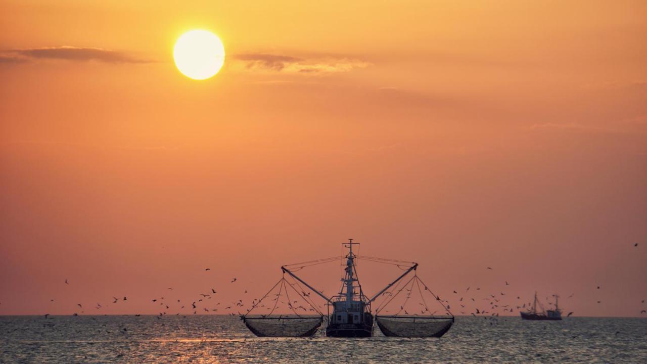 Ferienhus #1 Nordfriesland Lejlighed Mildstedt Eksteriør billede